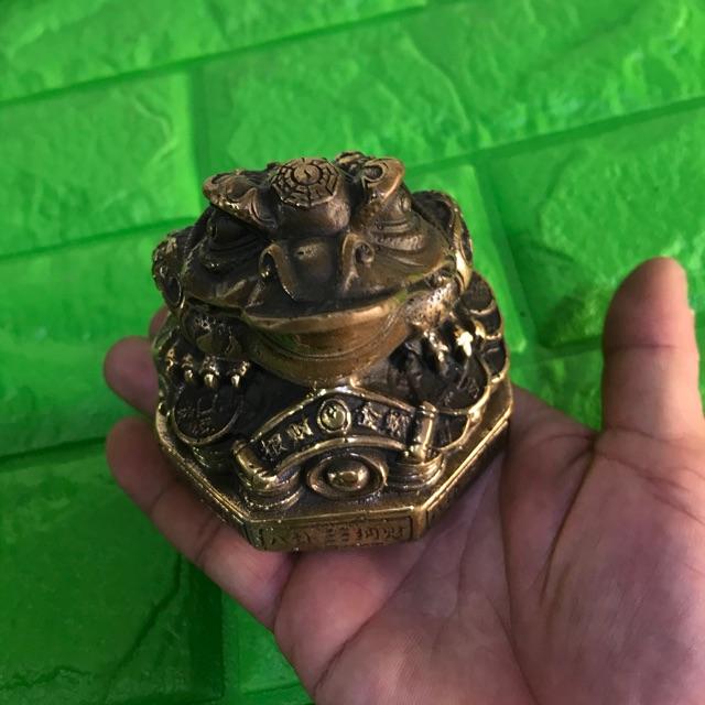 Cóc đồng phong thuỷ