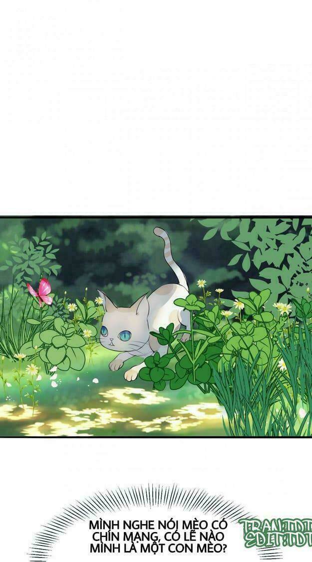 nữ đế trọng sinh chapter 8.2 25