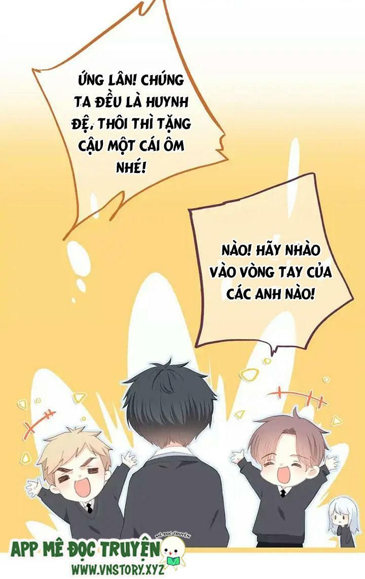 con tim rung động 2 chapter 41.5 3