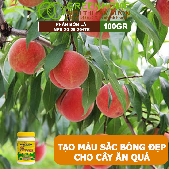 Phân Bón Lá Grow More NPK 20-20-20, GreenHome, Chai 100GR, To Củ, Lớn Trái, Chắc Hạt