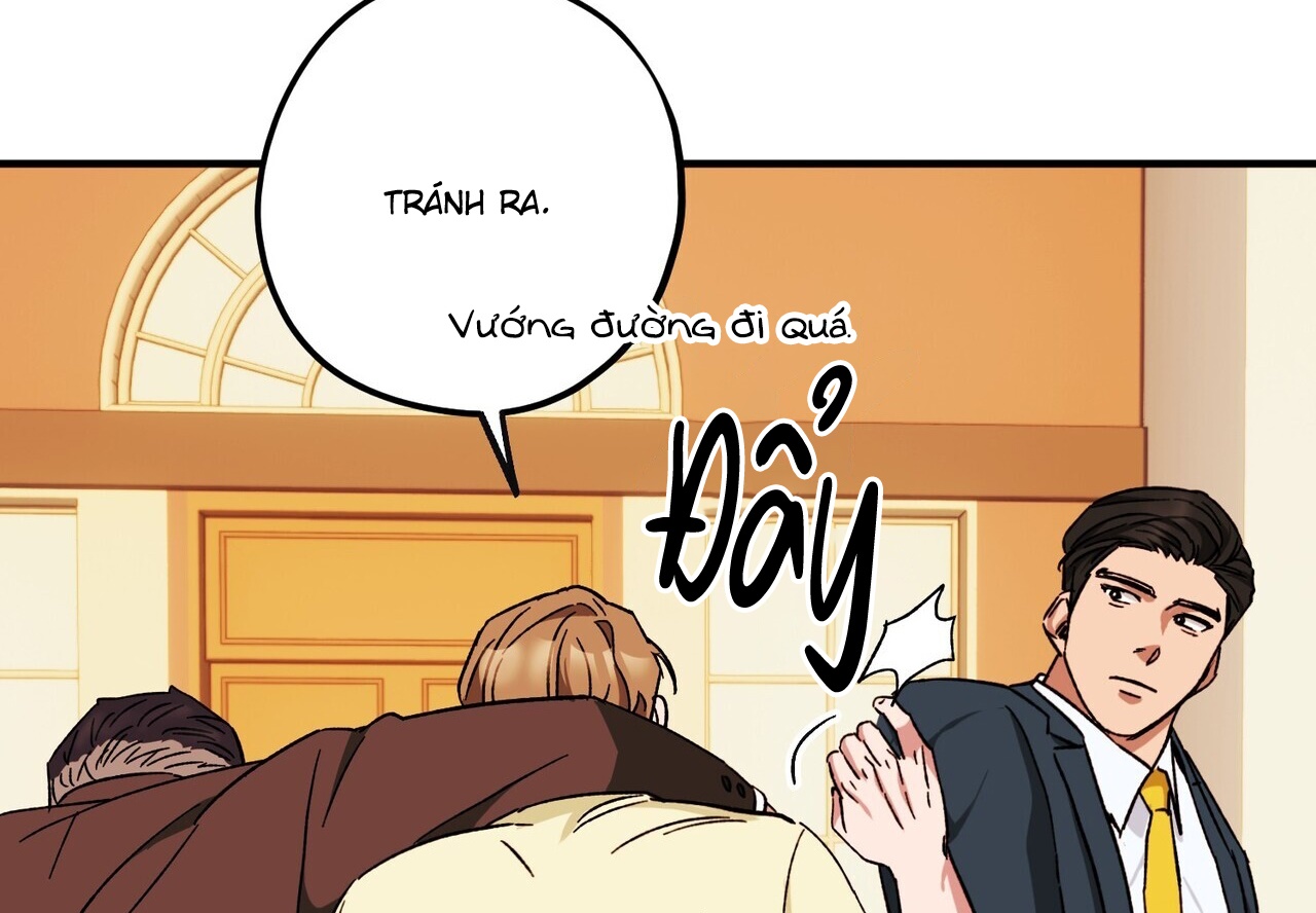 chàng dâu nhà họ kang chapter 40 38