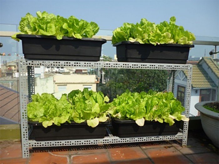 Combo 10 Khay Nhựa Trồng Rau Sạch Thông Minh Hình Chữ Nhật KT: 65x42x16cm - Chất Liệu Nhựa Dày, Bền, Đẹp VTNN Nông Điền Trang