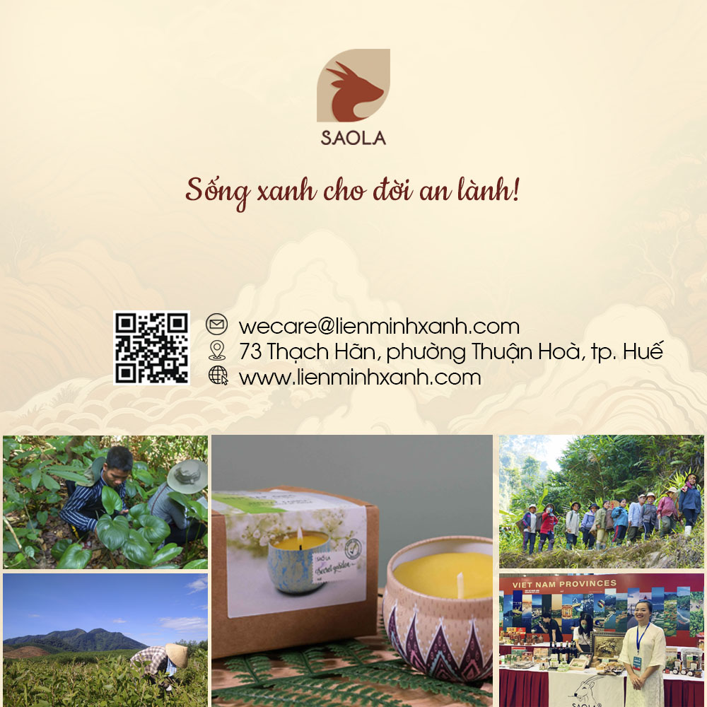 Nến thơm sáp ong tinh dầu