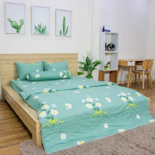 "Ga giường cotton 100%, drap giường cotton dày mát đủ size nệm" _Drap cotton chagota ( Mẫu Ngẫu Nhiên)