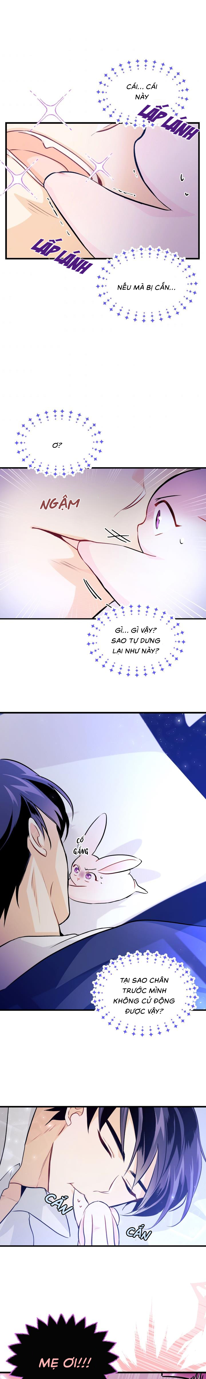 mối liên kết giữa báo đen và bé thỏ chapter 16 15