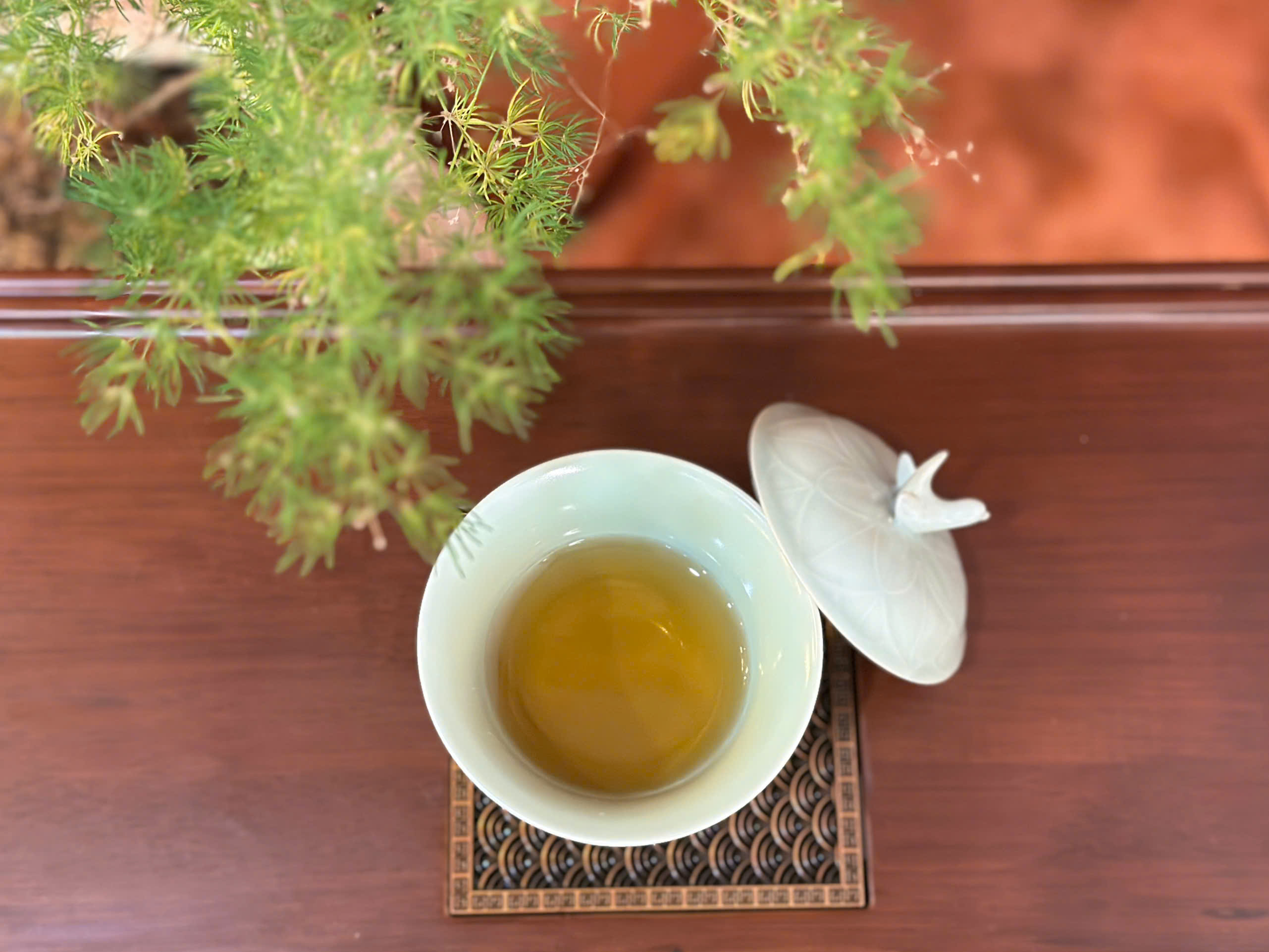 CHÉN KHẢI SỨ SEN XANH - LÀM THỦ CÔNG - DUNG TÍCH 115ML