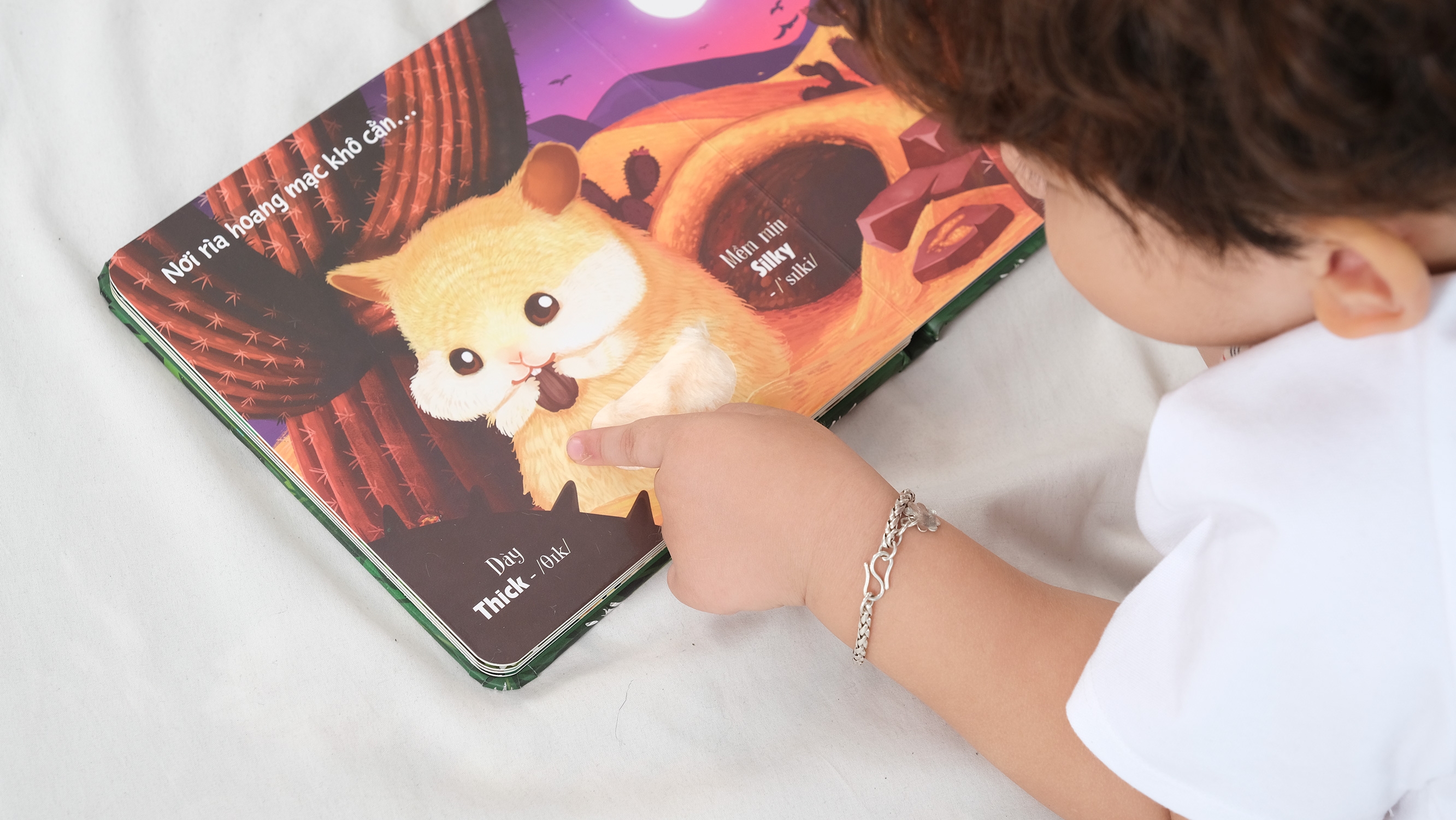 Bộ Sách Touch And Feel - Sách Sờ Chạm Khám Phá