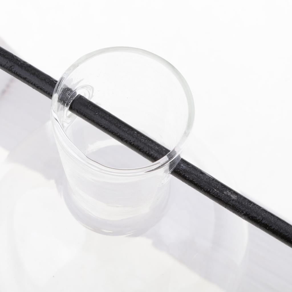 Vintage Glass Tabletop Hydroponic Flower Vase