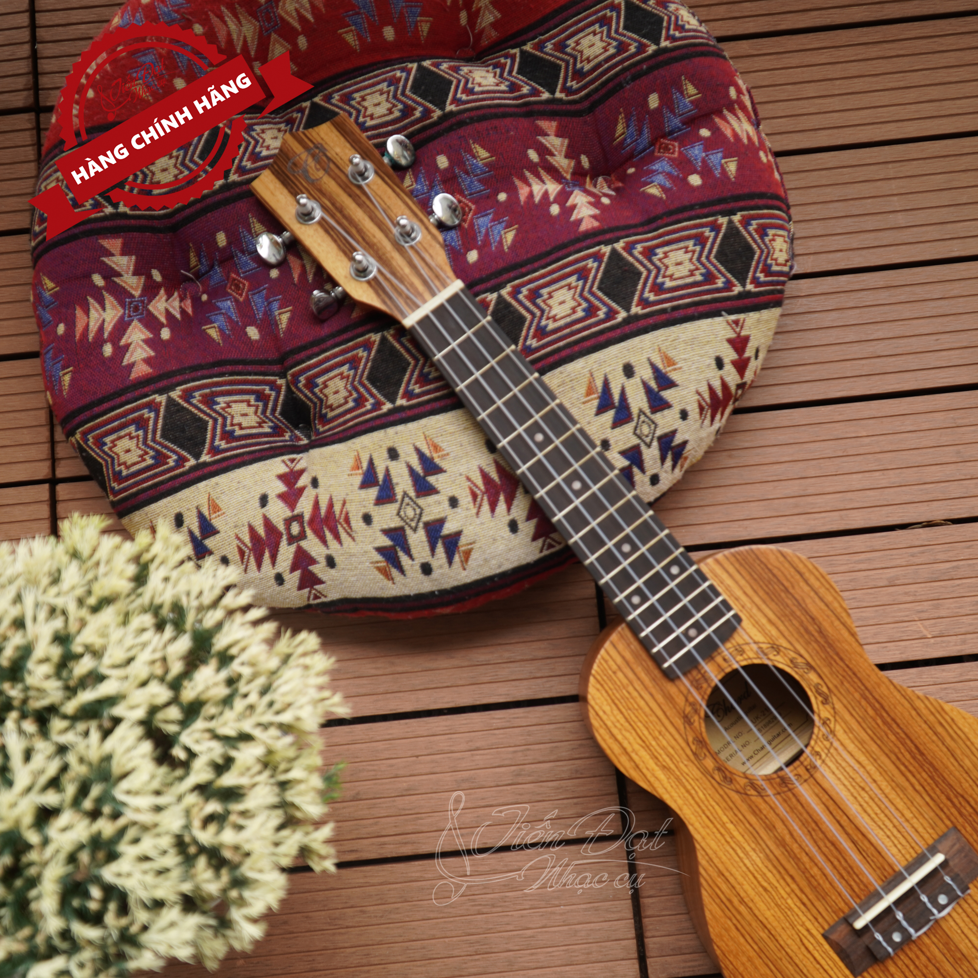 Đàn Ukulele Soprano CHARD U-21B, Mặt Đàn Gỗ Hồng Sắc