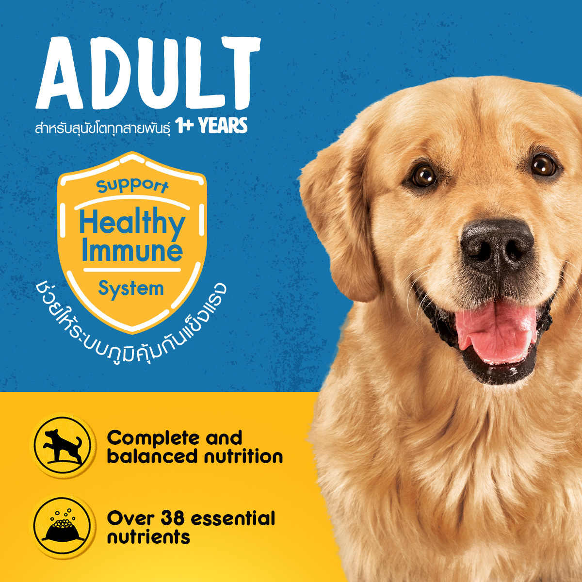 Thức ăn chó Pedigree vị thịt bò & rau củ túi 1.5kg