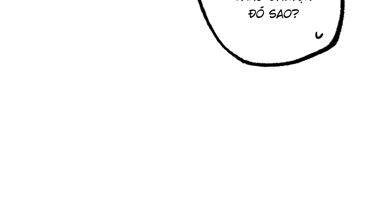 những chú thỏ của hapypy chapter 51 69