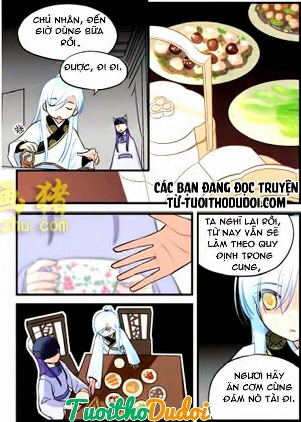 hoa phi hoa chapter 19 11