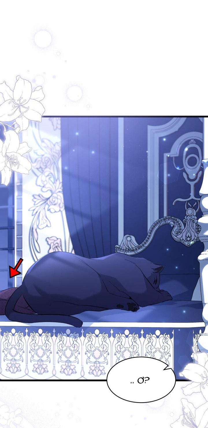 mối liên kết giữa báo đen và bé thỏ chapter 54 14