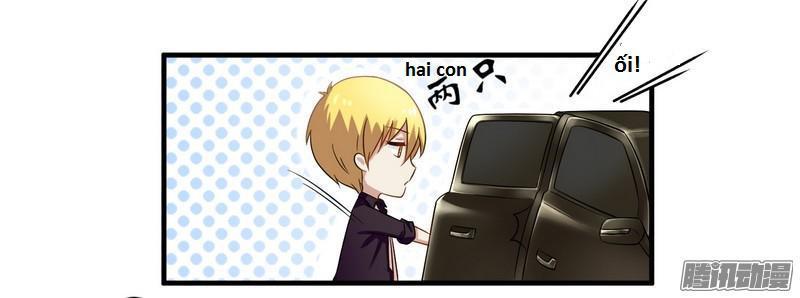 tổng tài đã cưới em chapter 38 4