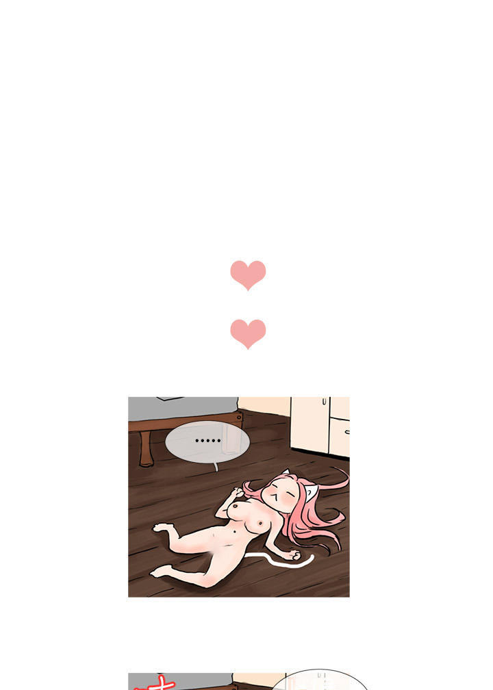 wildcat chapter 4 21