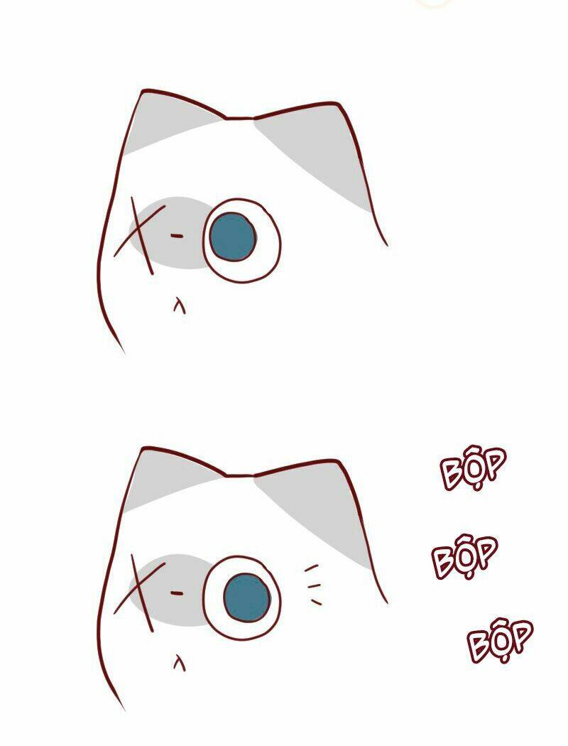 saphie: chú mèo một mắt chapter 22 9