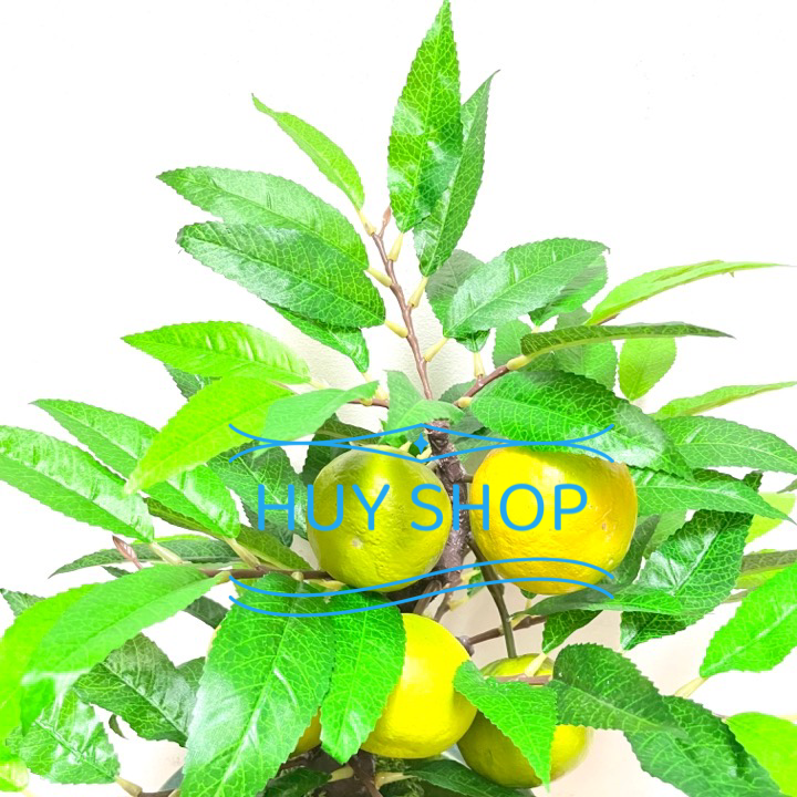 CHẬU CÂY TRÁI QUÝT VÀNG NHÂN TẠO TRANG TRÍ NHÀ CỬA