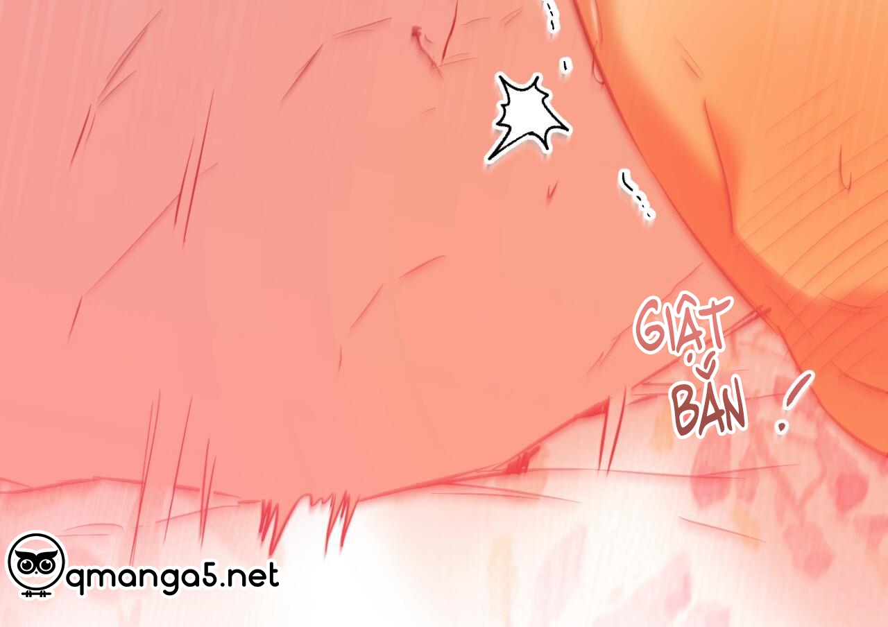 những chú thỏ của hapypy chapter 63 175