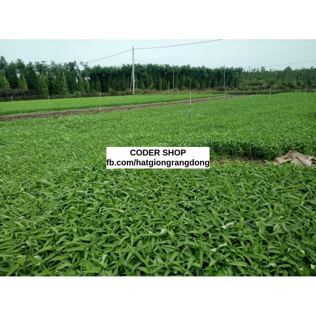 Hạt Giống Rau Muống Lá Tre RADO 50Gram
