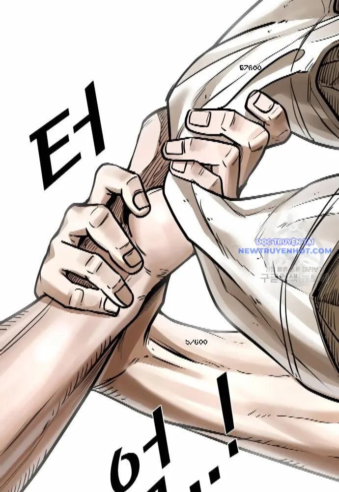 shark - cá mập chapter 281 17