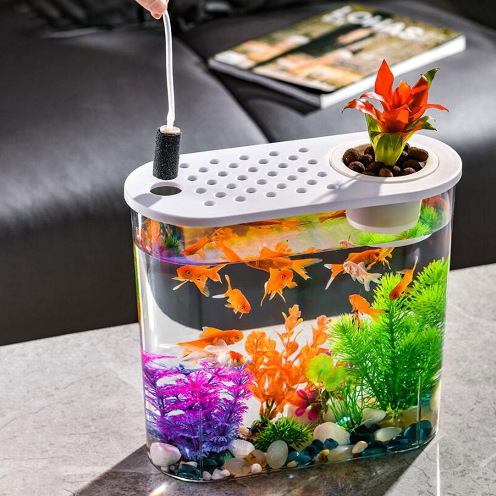 Mini Fish Tank Clear Tank Portable Tabletop Fish Bowl Small Desktop Aquarium