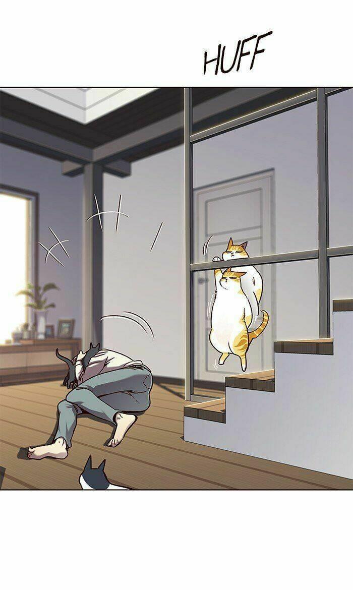 biến thân thành mèo chapter 64 53