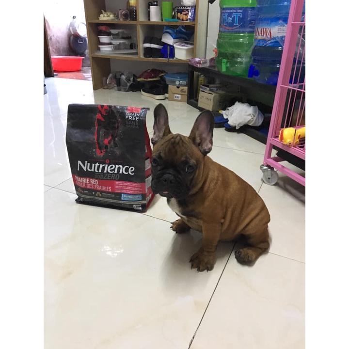 Thức Ăn Hạt Cho Chó Bulldog Nutrience Subzero Bao 500g Xương Cơ Khớp, Mượt Lông - 6 Loại Thịt Cá, Rau Củ, Trái Cây