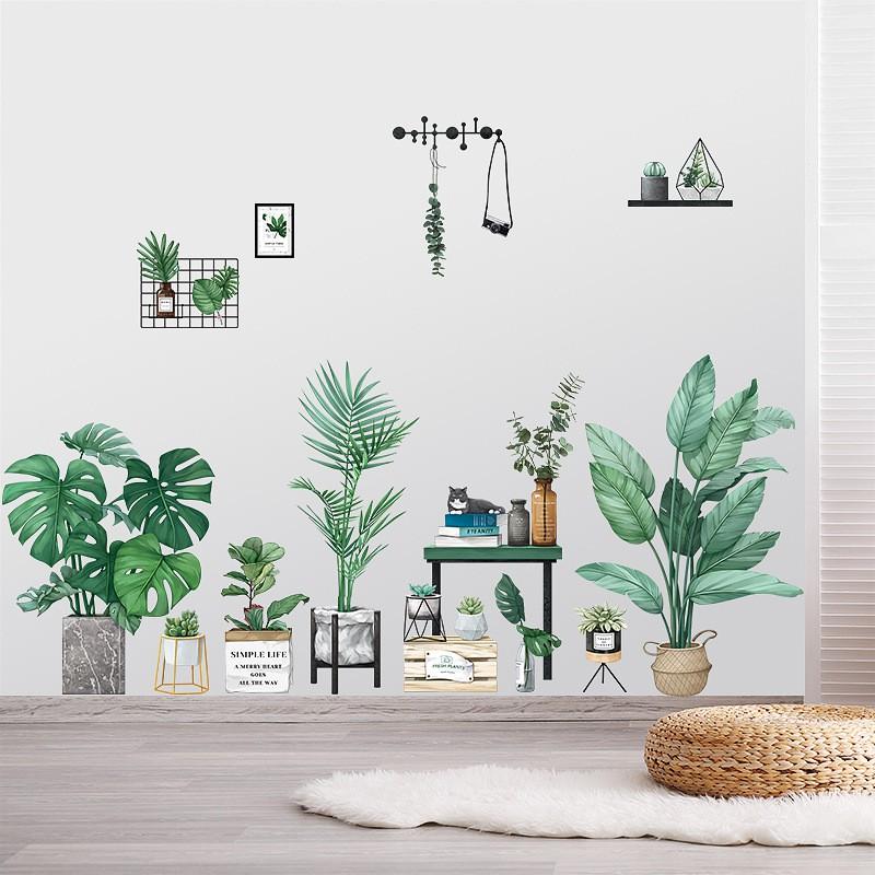DECAL DÁN TƯỜNG PHONG CÁCH HÀN QUỐC NHIỆT ĐỚI Chậu cây xanh SIÊU TO NHẤT 01