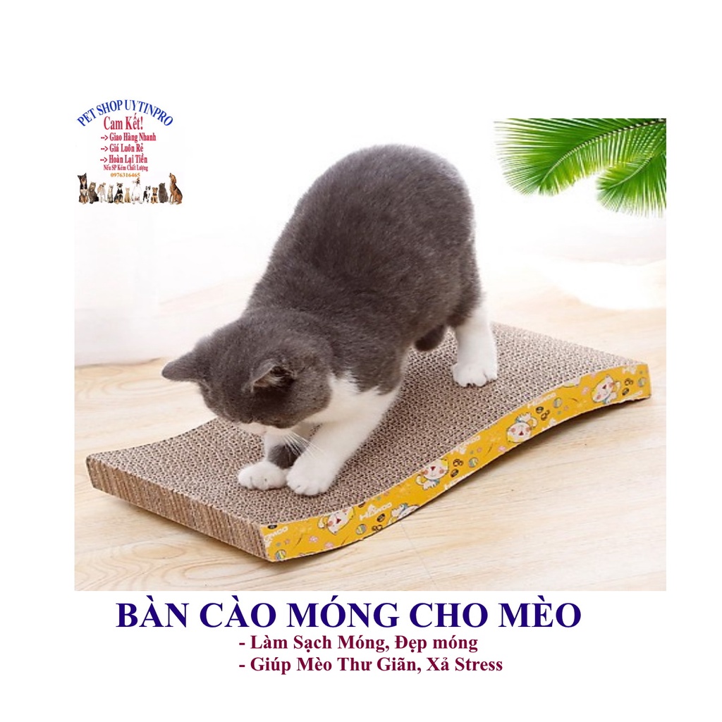 Bàn cào móng cho Mèo Size 40cm x 23cm Làm sạch móng Giúp móng luôn trong tình trạng tốt nhất Giúp mèo giải trí Xả stress