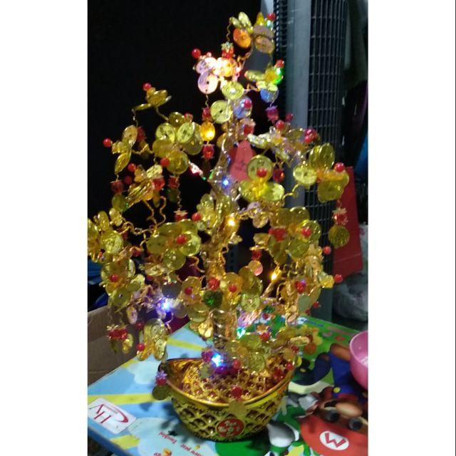 Cây kim tiền tài lộc hoa đồng tiền nhụy thỏi vàng công phu , cây cao 50cm luôn đèn