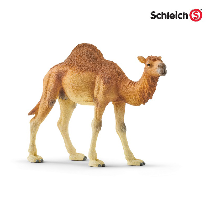 Đồ Chơi Mô Hình SCHLEICH Lạc Đà Một Bướu 14832