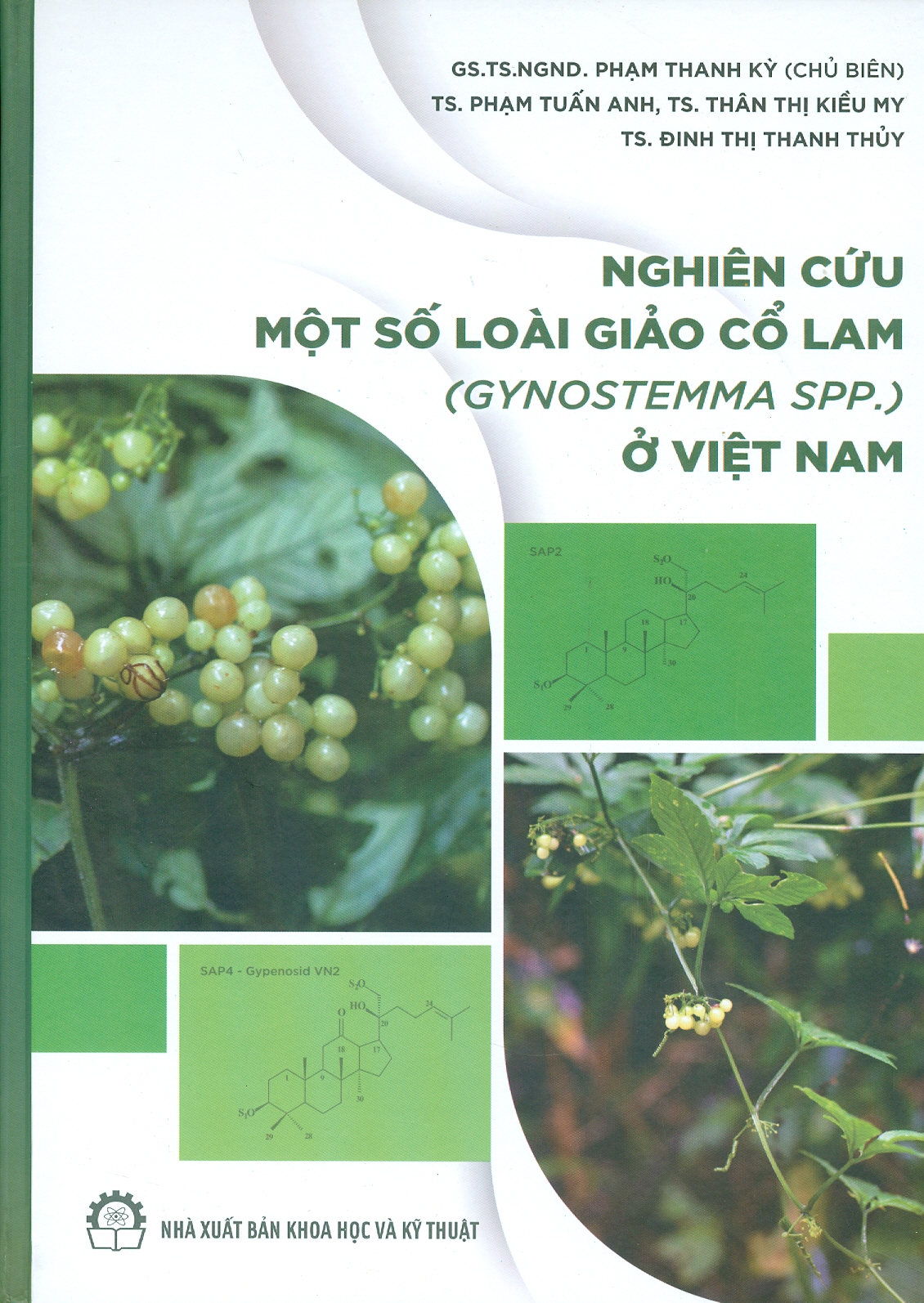 Nghiên Cứu Một Số Loài Giảo Cổ Lam (Gynostemma Spp.) Ở Việt Nam (Bìa cứng, In màu) - GS.TS.NGND. Phạm Thanh Kỳ (Chủ biên), TS. Phan Tuấn Anh, TS. Thân Thị Kiều My, TS. Đinh Thị Thanh Thủy