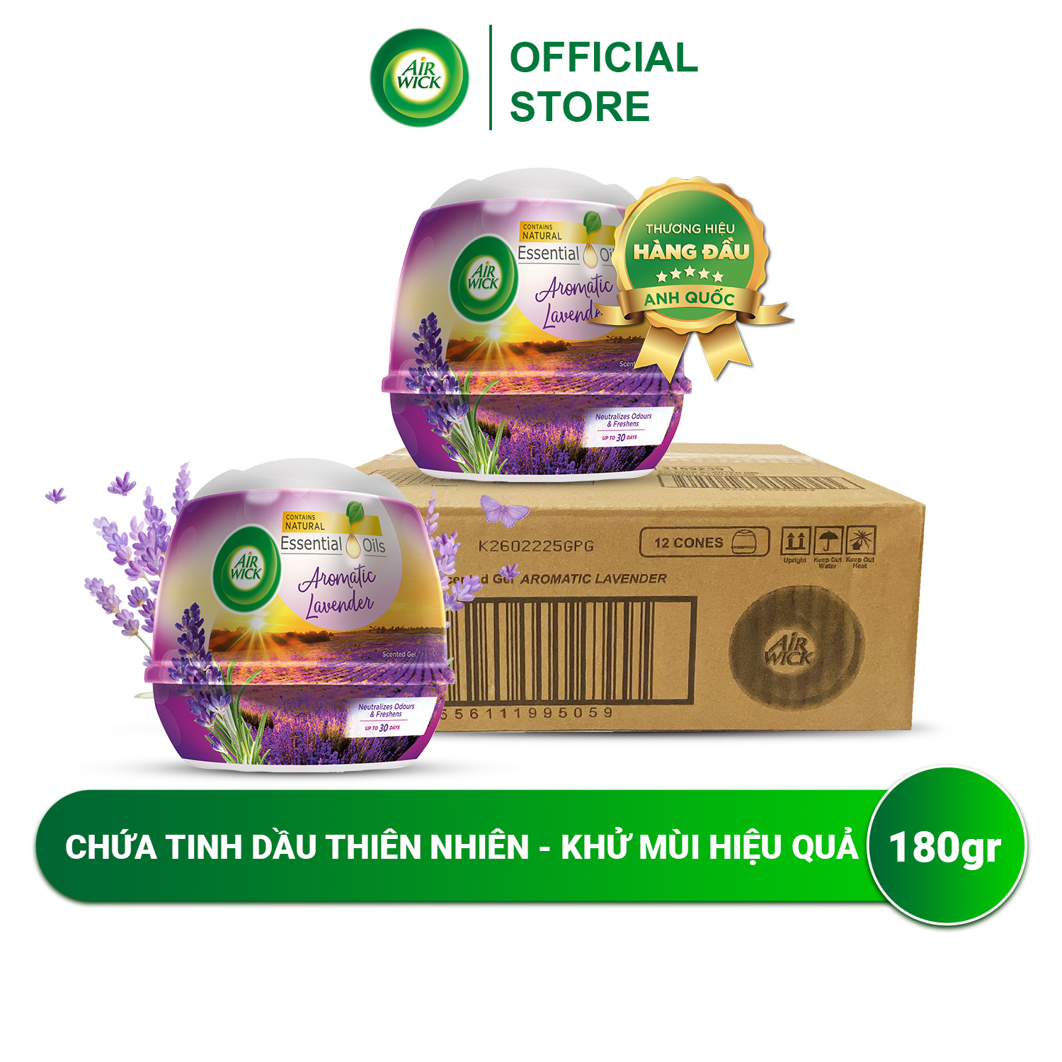 Thùng Sáp Thơm Phòng AIRWICK - 12 Hộp Hương Lavender, Anh Quốc, Hương Thơm Nhẹ Nhàng Phù Hợp Mọi Không Gian