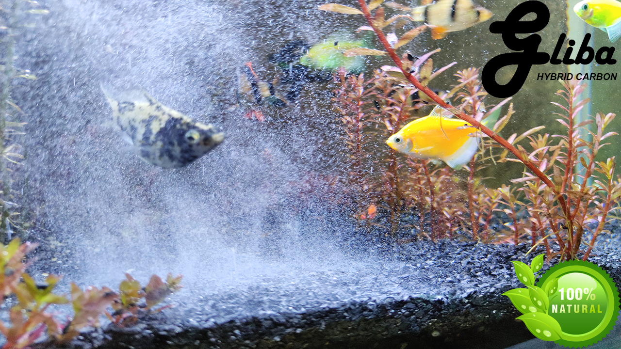 Than lai Gliba 250gram