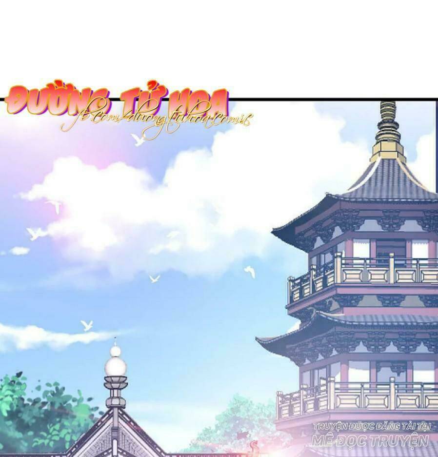 mau xuyên hướng dẫn tự cứu vật hi sinh nữ phụ chapter 11 41