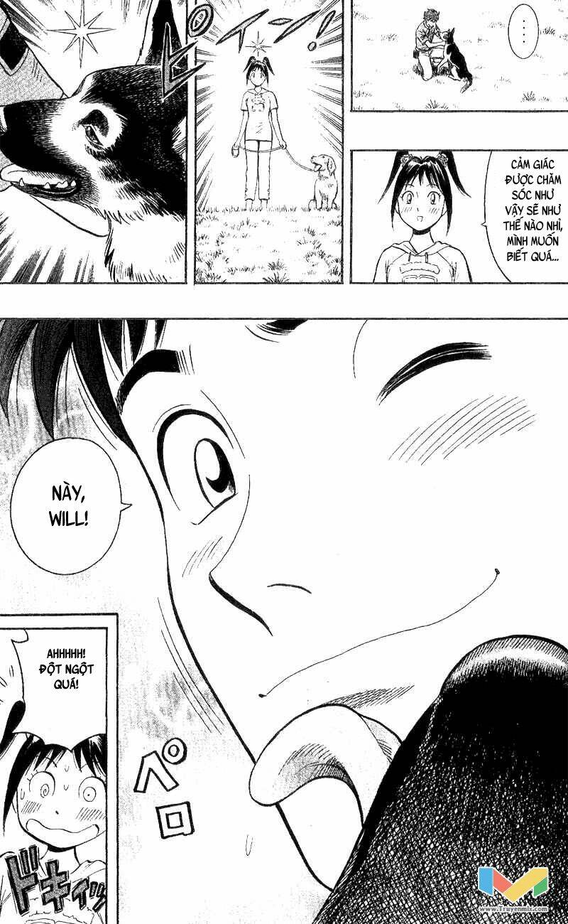 animal sense chapter 3 39