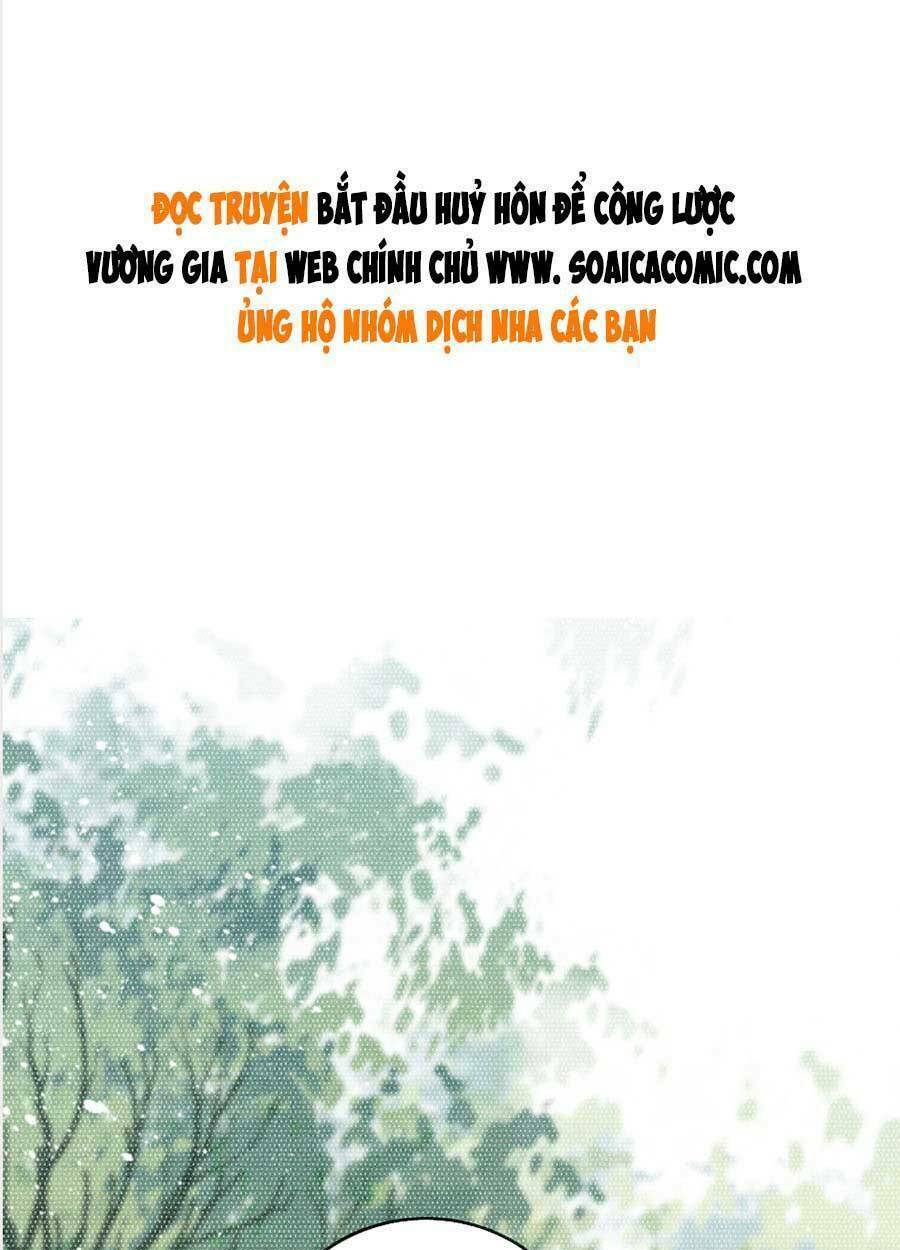 bắt đầu hủy hôn để công lược vương gia chapter 67 1