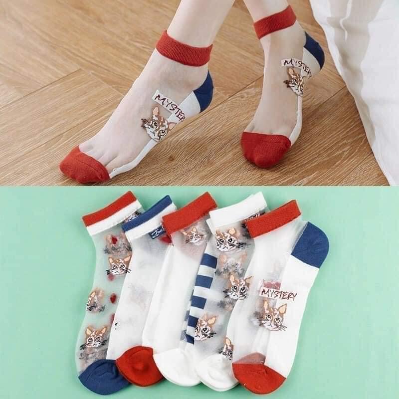 Set 10 đôi tất ren nữ cổ ngắn hình mèo xinh hot trend