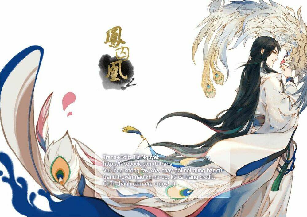 phượng tù hoàng chapter 13 1