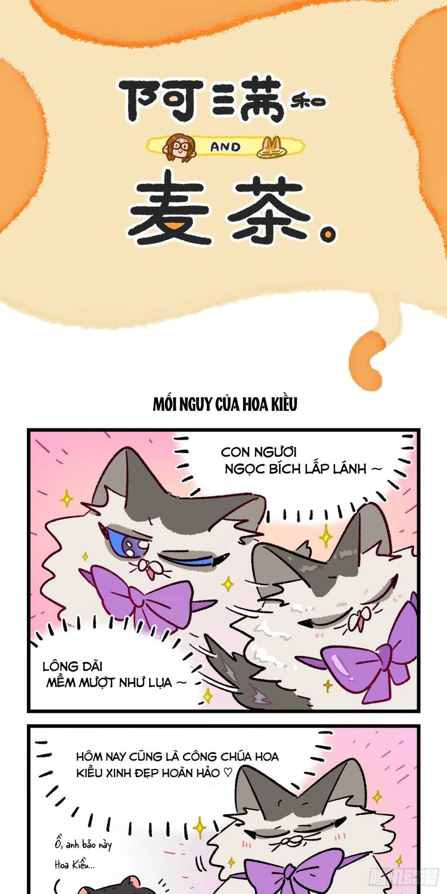 a mãn và mạch trà chapter 177 7