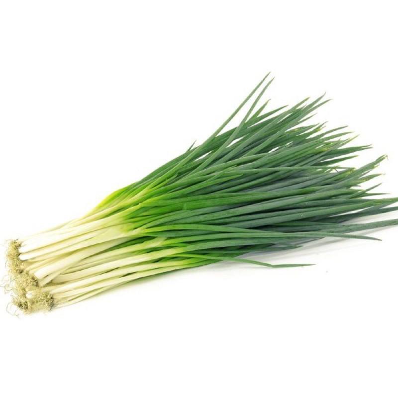 Hạt giống Hành Hương Cao Sản - Hành lá