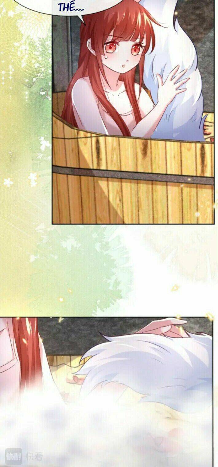 hắc hóa nam chính trực tuyến nuôi thỏ chapter 32 4