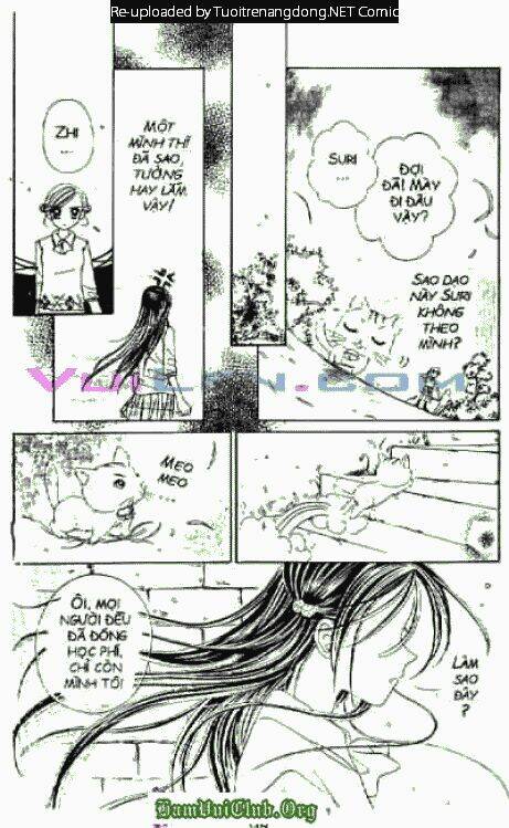 cánh thiên nga chapter 3 98