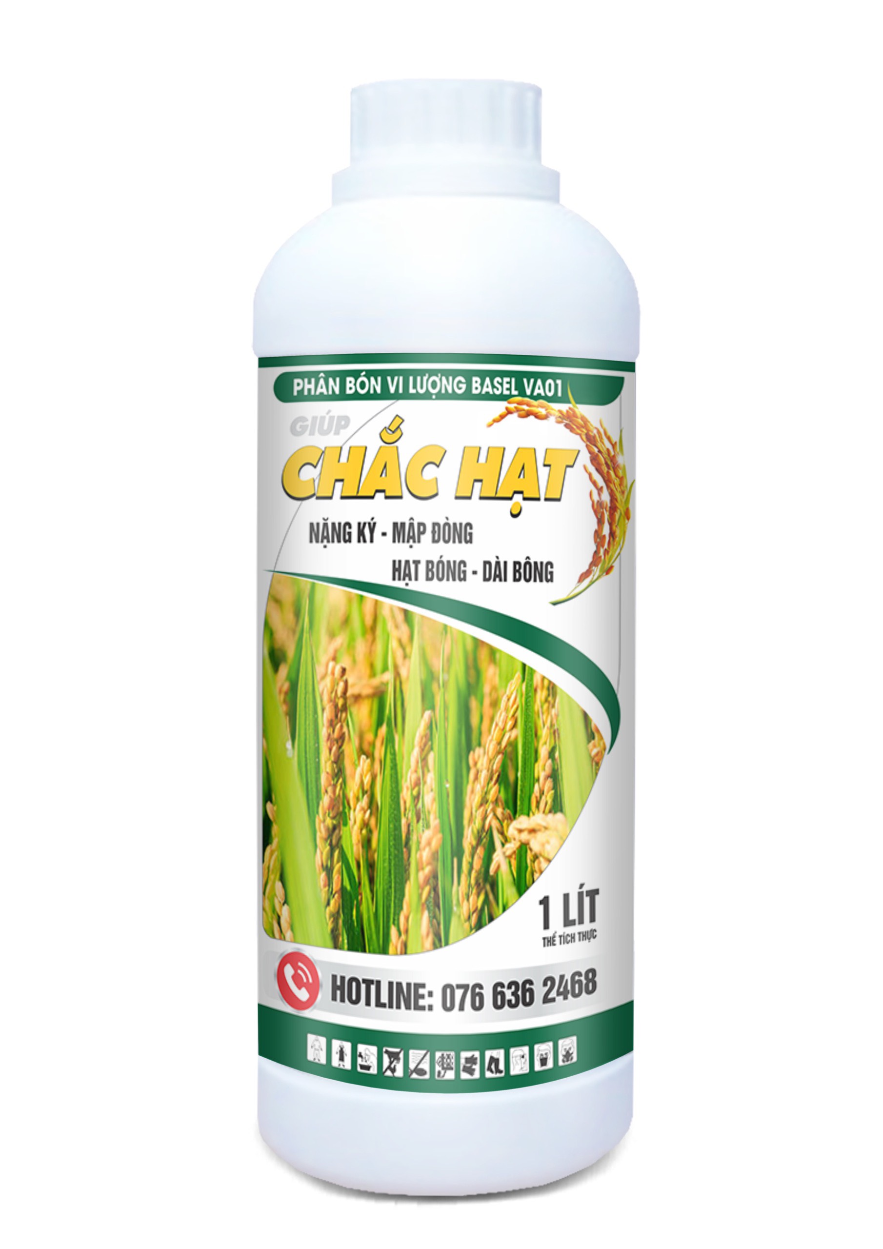 CHẮC HẠT CHUYÊN LÚA