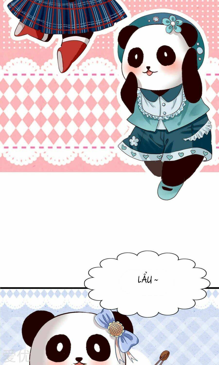 tôi bị gấu trúc nhìn trúng rồi chapter 1 12