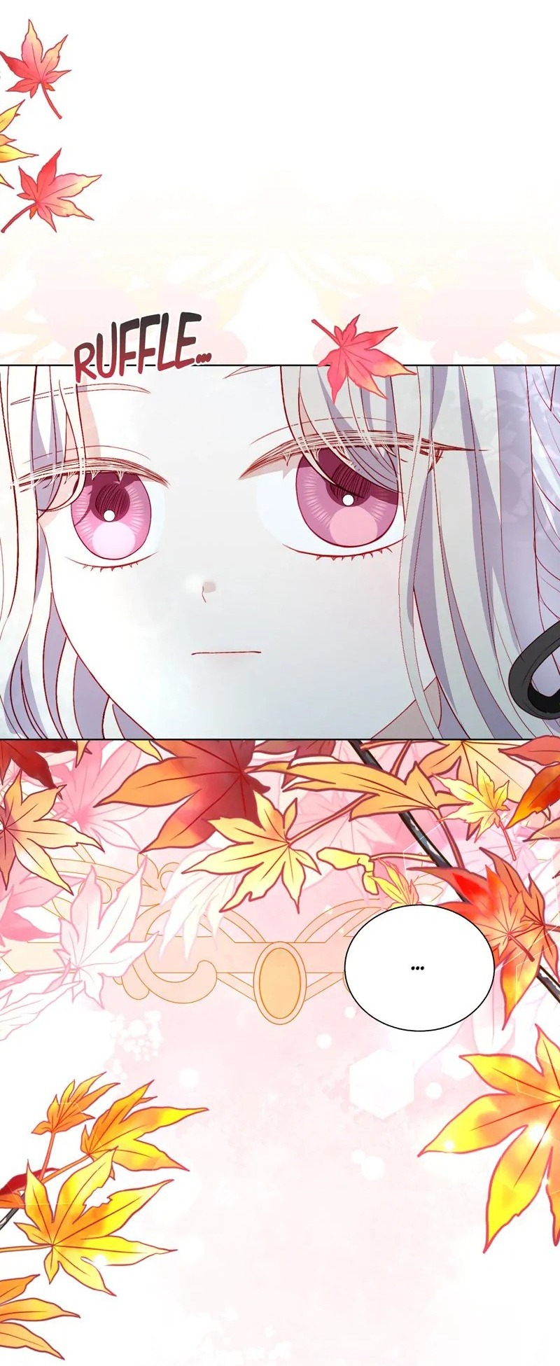 papa của tôi đã xuất hiện chapter 47 47