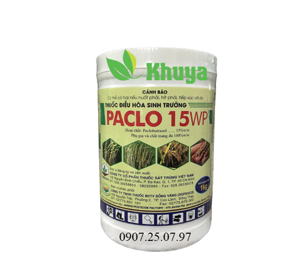 Điều hòa sinh trưởng Paclo 15WP hộp 1kg Paclo Đồng Tháp 15%