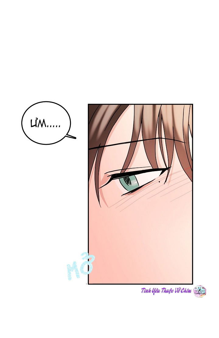 đối tác an toàn chapter 7 4