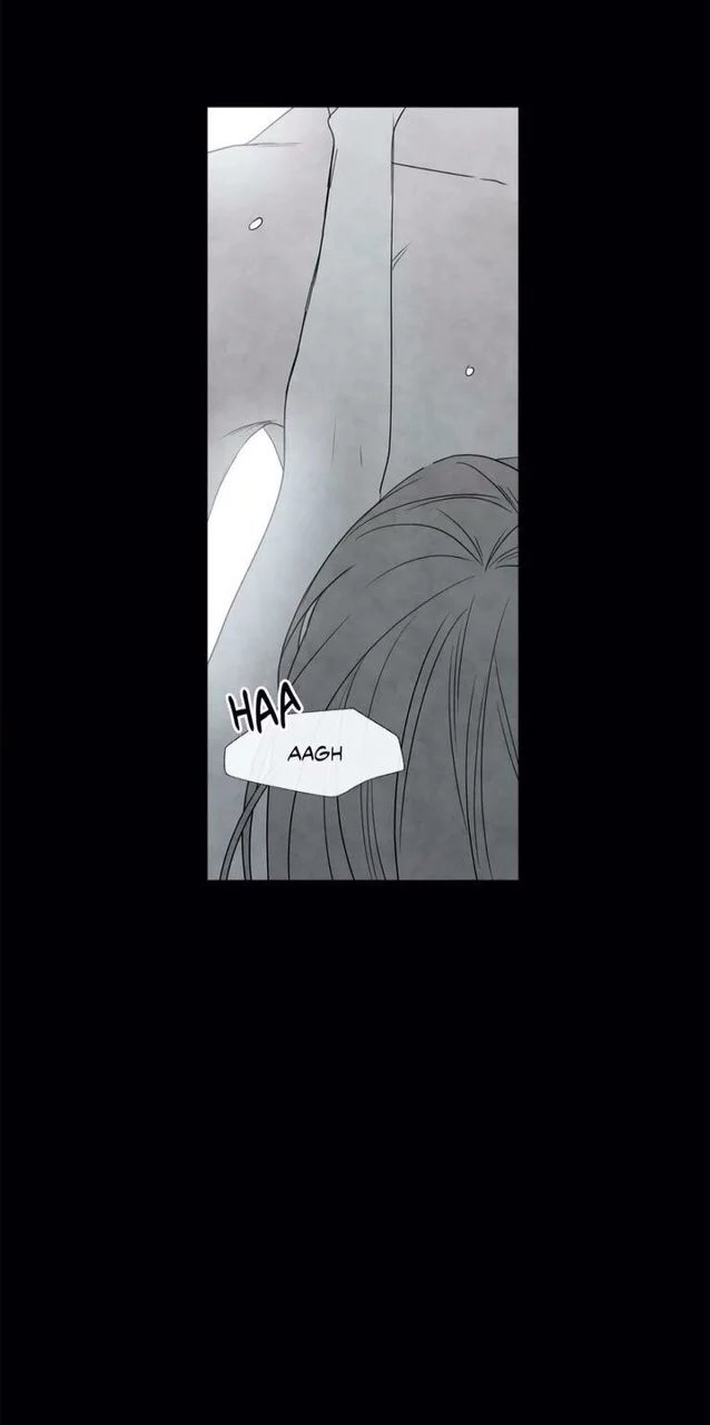 summer solstice point chapter 15 9