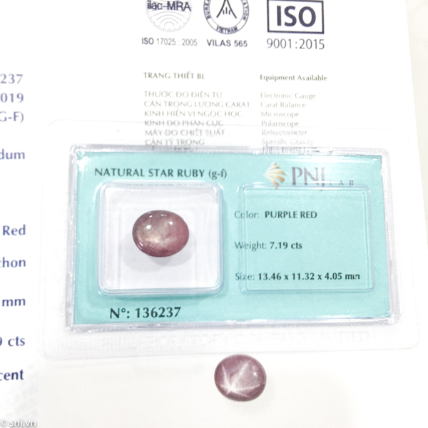 Viên ruby sao oval 7.19ct 136237